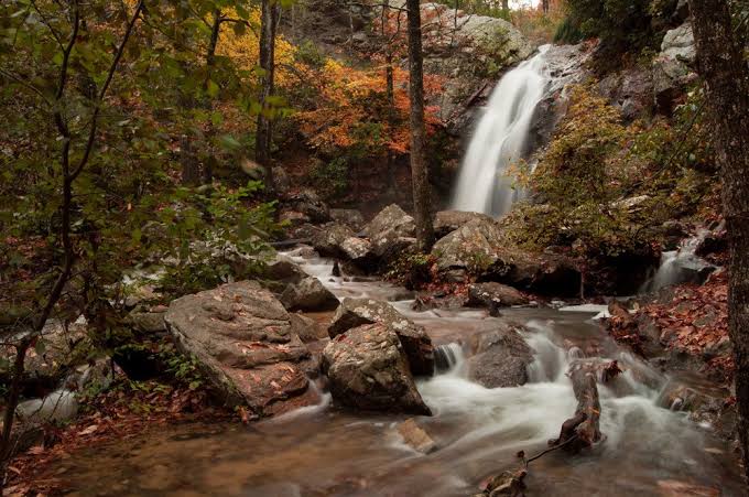 fall-in-hoover-al